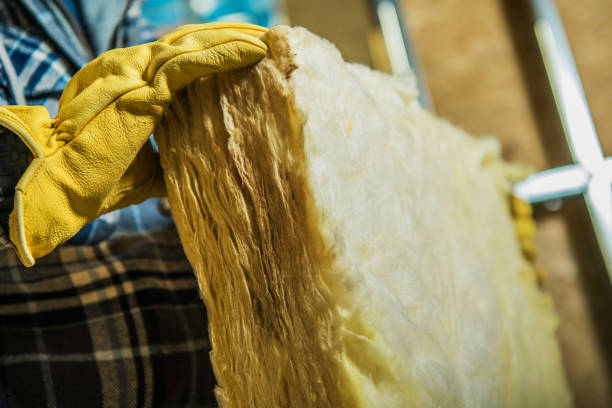 Best Types of Insulation in Mililani Town, HI