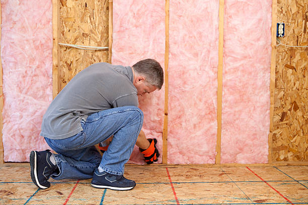 Best Insulation for Specific Applications in Mililani Town, HI