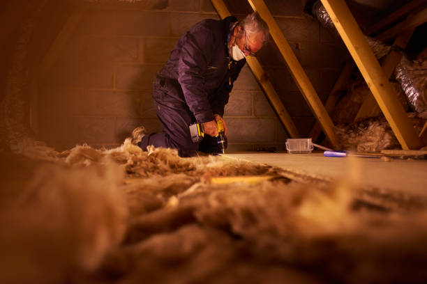 Professional Insulation Contractor in HI